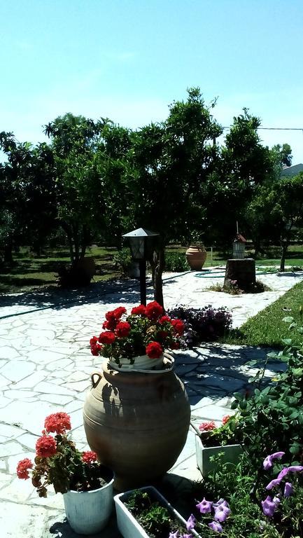 Nireas Daire Nea Skioni Dış mekan fotoğraf